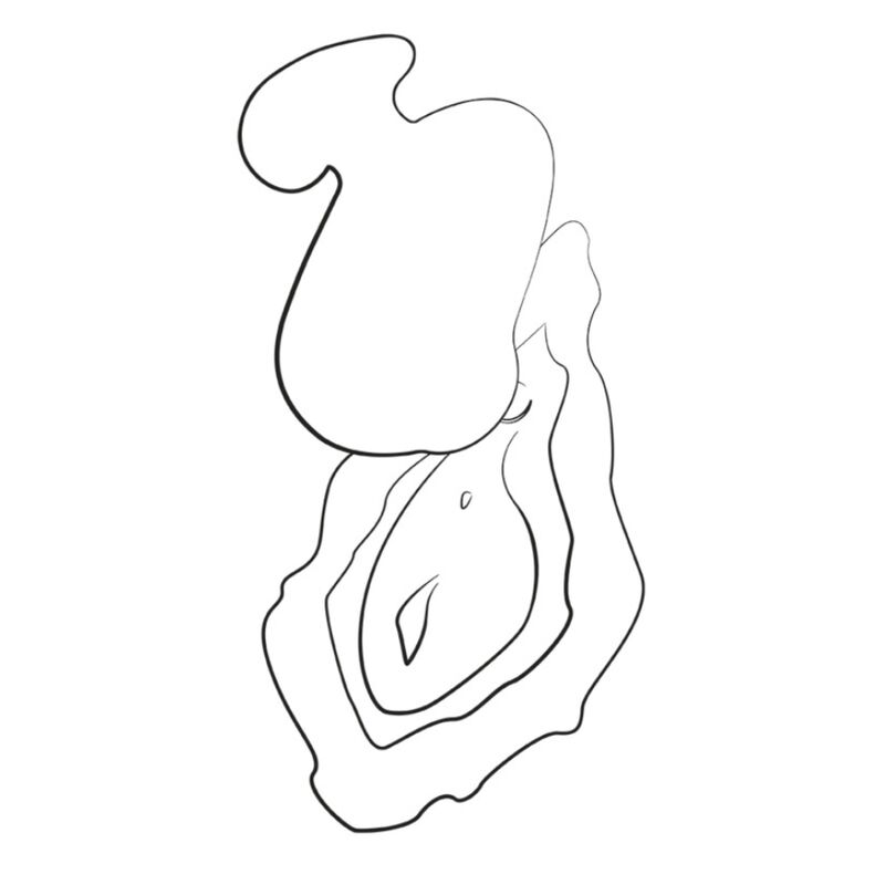 ROMP - KISS SUCCIONADOR DE CLÍTORIS VIBRADOR DE DEDO RECARGABLE - Image 2